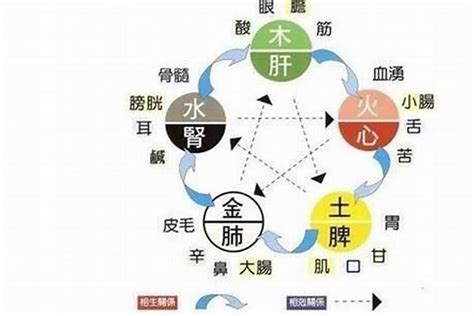 五行 補水|五行缺水會怎樣？缺水命格與補救方法分享